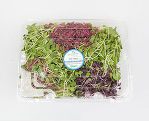 산청 어린잎채 500g