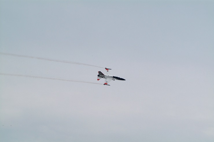 059d5b17cf4d41b65d6a754f0b71acbf_1552663559_7038.jpg
